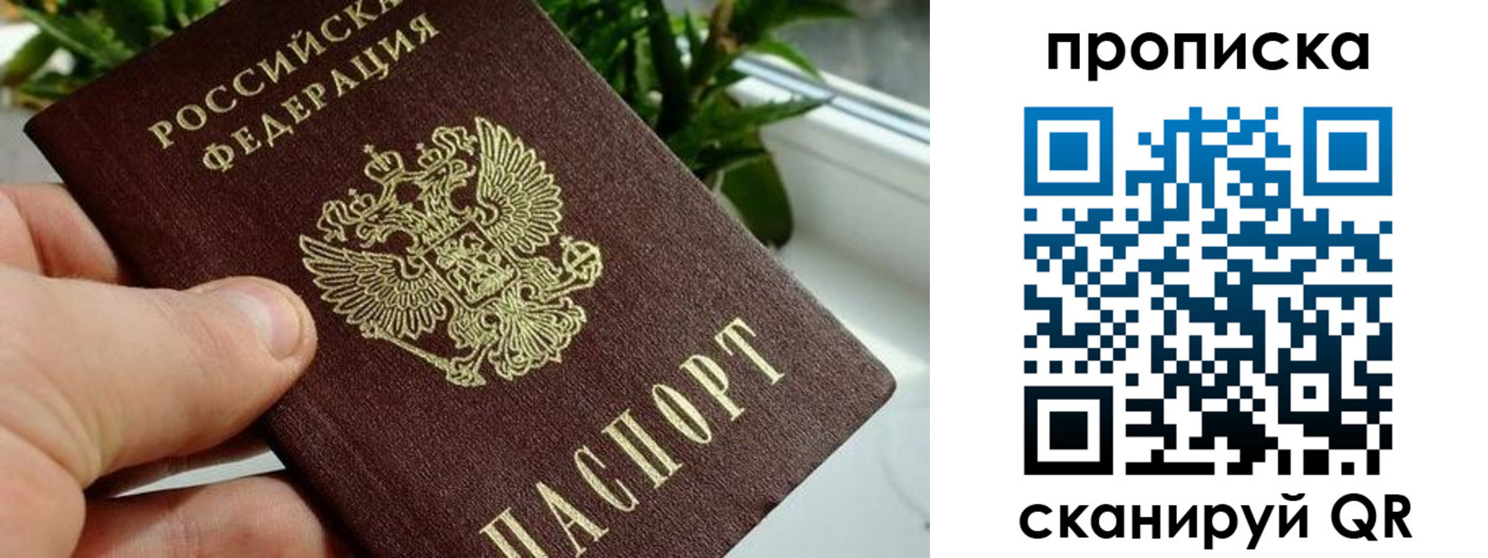 где прописаться в Москве